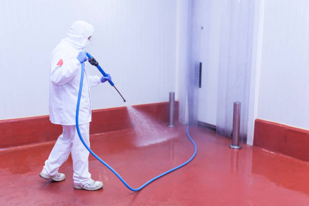 Best Soft Washing  in Cumberland, IN